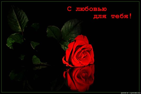 Любовь - это для тебя