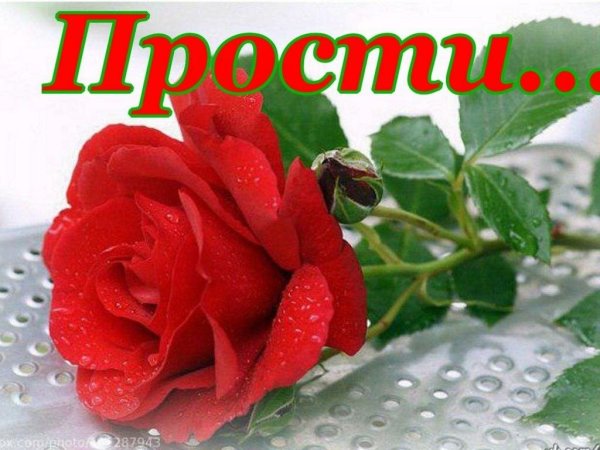 Открытки благодарности и прощения