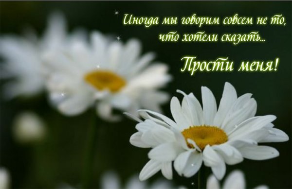 Букет цветов прости меня