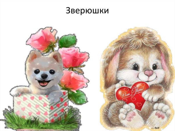 Открытки со зверюшками