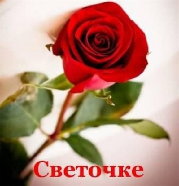 Прекрасной Светлане цветы