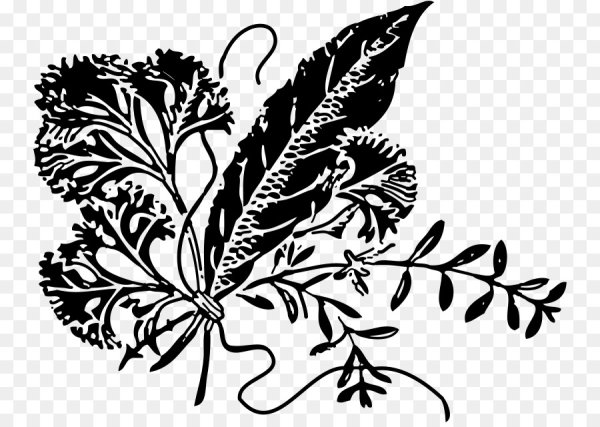 Лекарственные травы силуэт