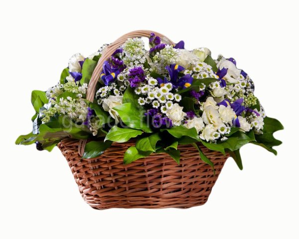 Букет розы с ромашками