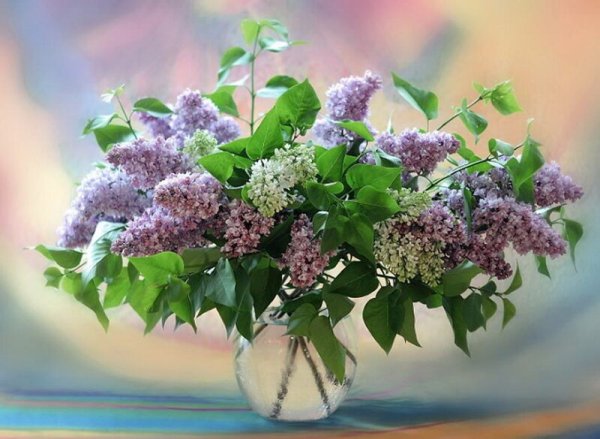Открытки с 1 мая