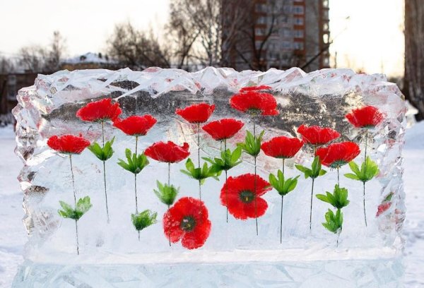 Цветы во льду