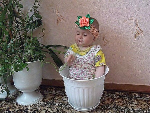 Дети цветы жизни собрал букет подари бабушке