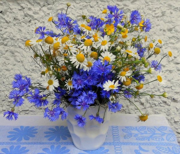 Полевые цветы васильки и ромашки