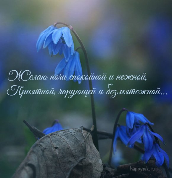 Спокойной весенней ночи с пожеланиями