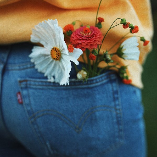 Цветы в кармане джинс