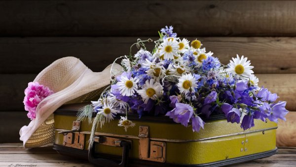 Цветы у женских ног