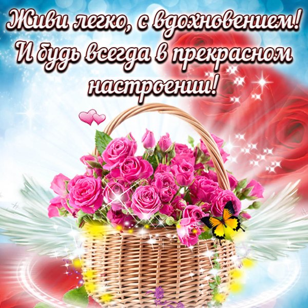 Яркие цветы для настроения