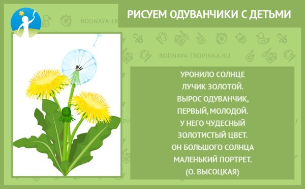 Одуванчик для детей