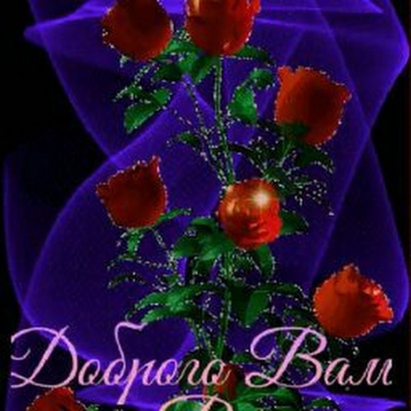 Счастливого вечера и спокойной ночи
