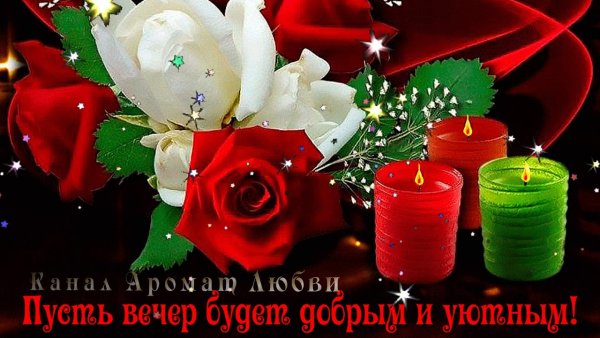Приятного вечера розы