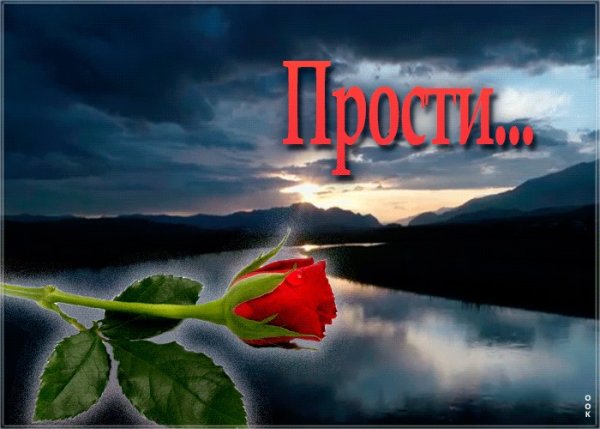 Прости меня любимая