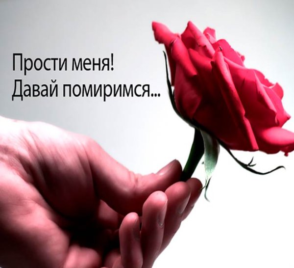 Цветы с извинениями