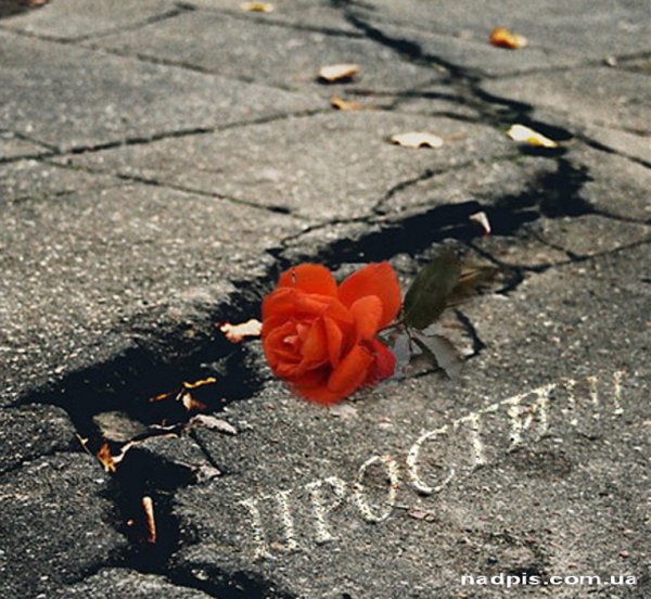 Открытка с извинением для любимого