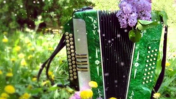 Красивые гармошки
