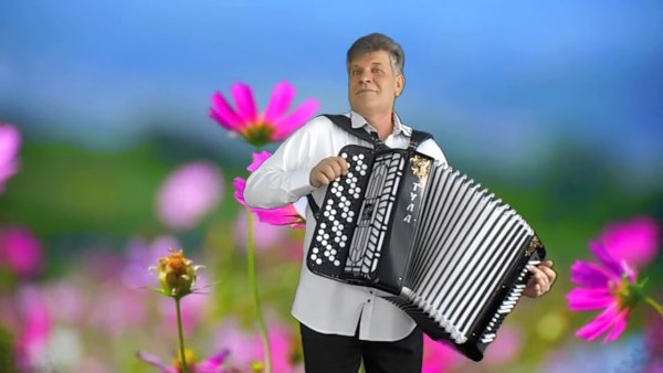 Натюрморт с баяном