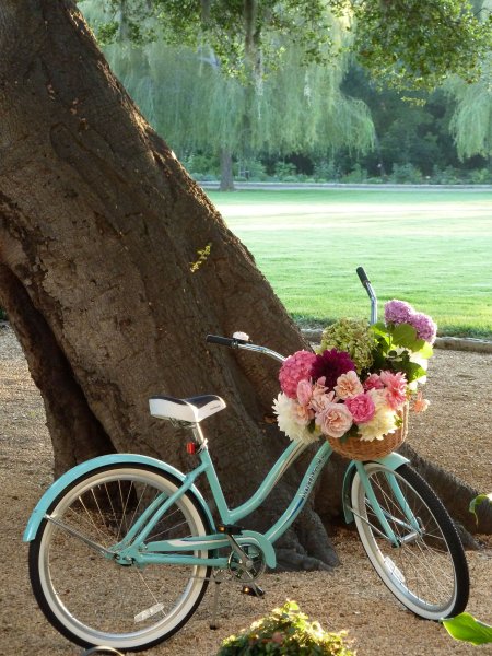 Цветочный велосипед 