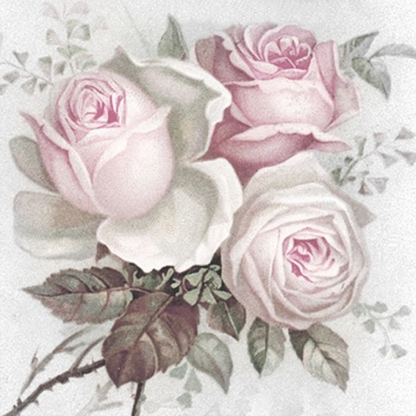Sagen Vintage Design "розы"