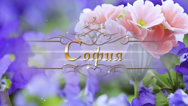 Картинки с именем София