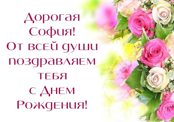 Софа с днем рождения