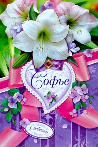 С днём рождения София девочке