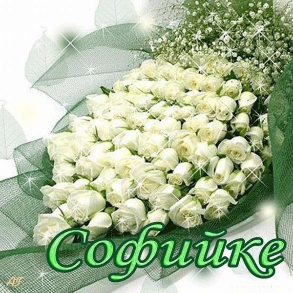 С днём рождения Сонечка