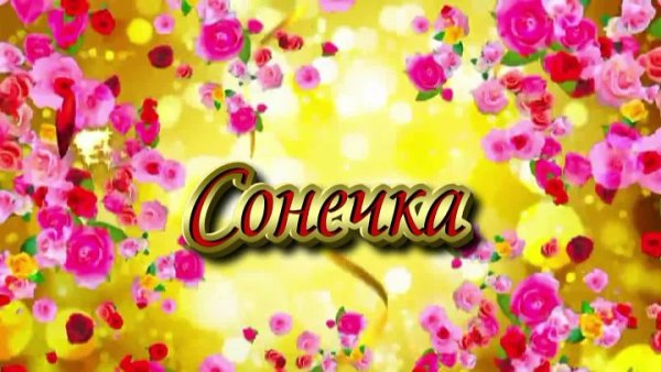 С днём рождения Софочка