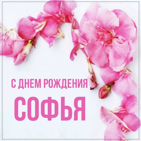Цветочки для Сонечки