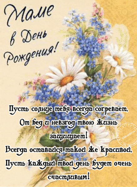 Малыш с розой
