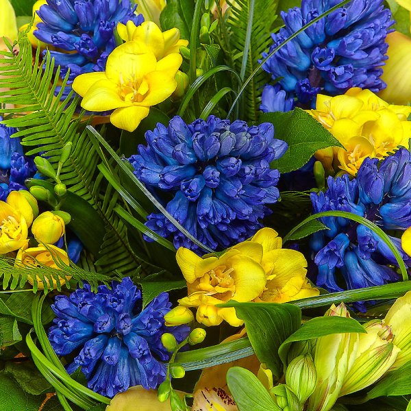 Желто голубые цветы - 82 фото