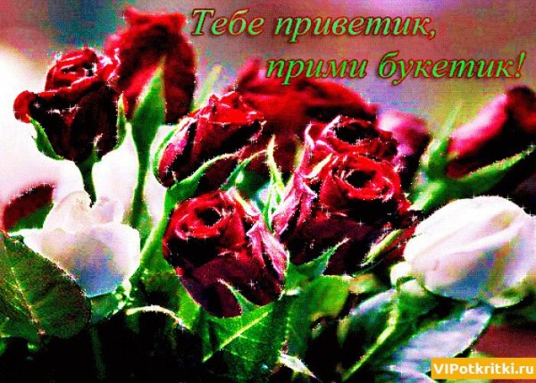 Открытки привет с цветами