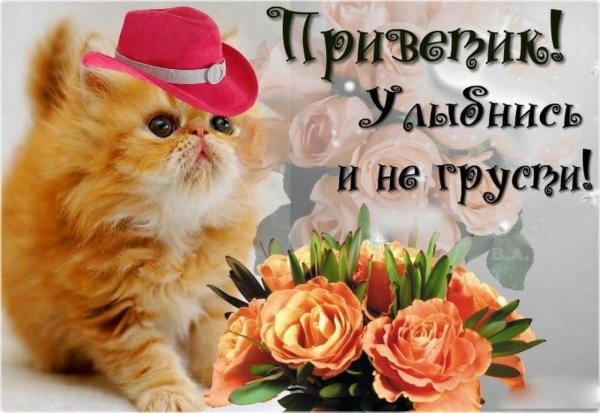 Добрый день с любовью