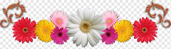Картинки полоса из цветов (60 фото) » Картинки и статусы про окружающий мирвокруг