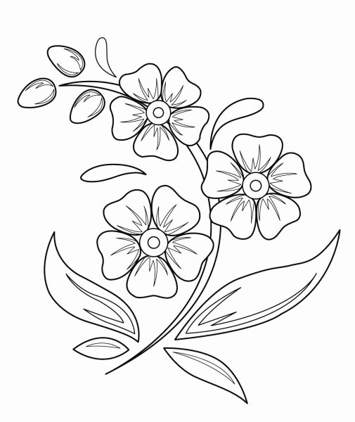 Цветы для рисования