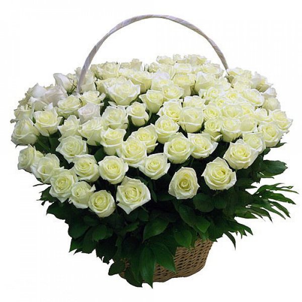 Роза Аваланж
