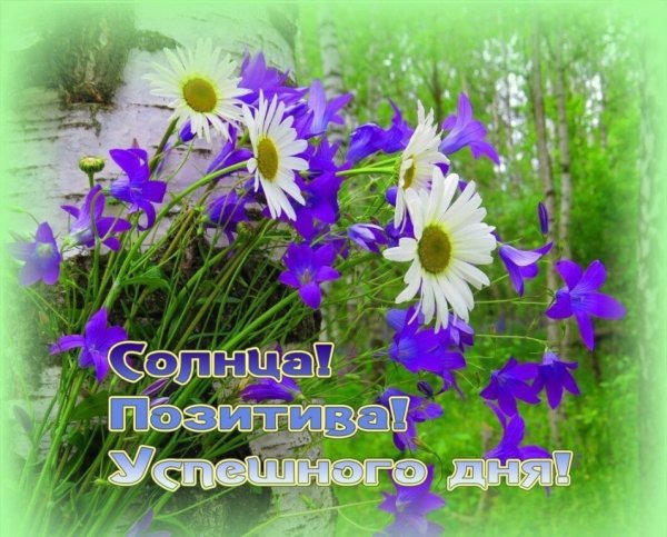 Приветствия и пожелания открытки на каждый день