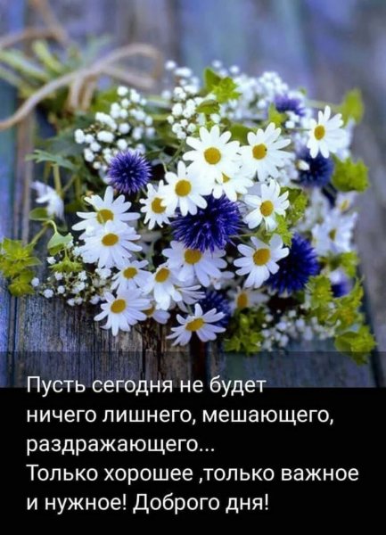 Полевые цветы с пожеланиями