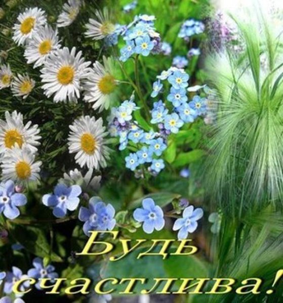 Букетик полевых цветов для тебя