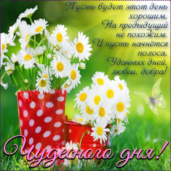 Открытки с добрым днём летние