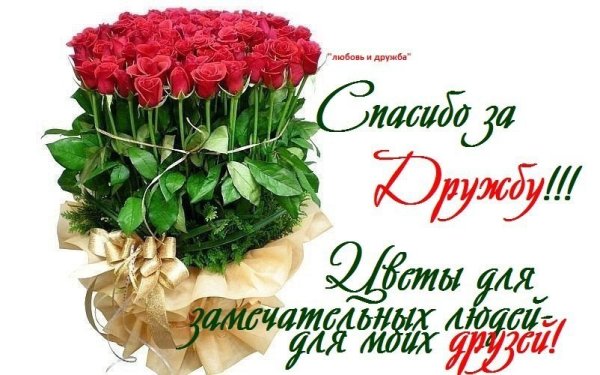 Открытки с благодарностью за дружбу