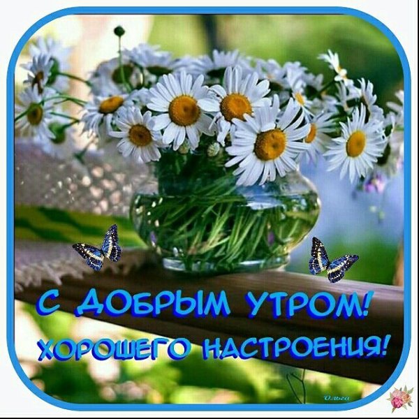 Доброе утро стромашками