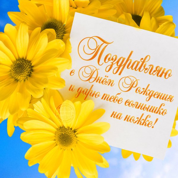 Солнышко и. "с днем рождения!"