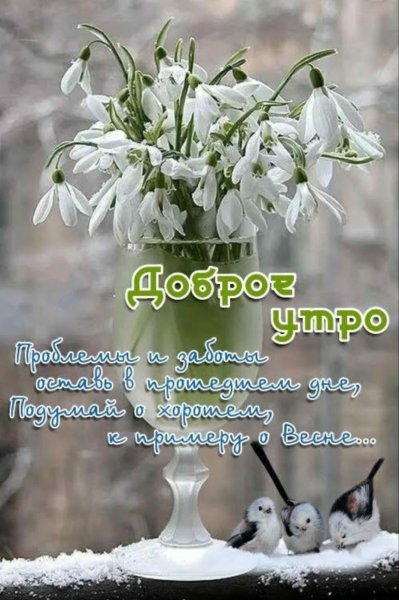 Добрейшего утречка и хорошего денечка