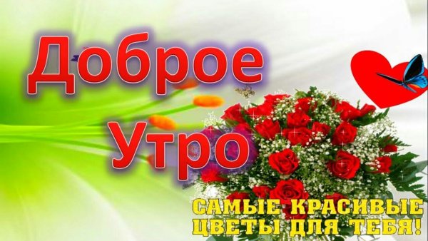 С добрым утром любимая цветы