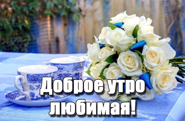 С добрвмиутром любимая