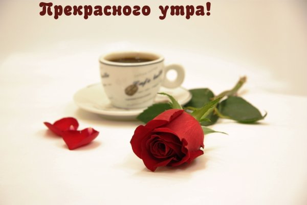 Прекрасного утра тебе