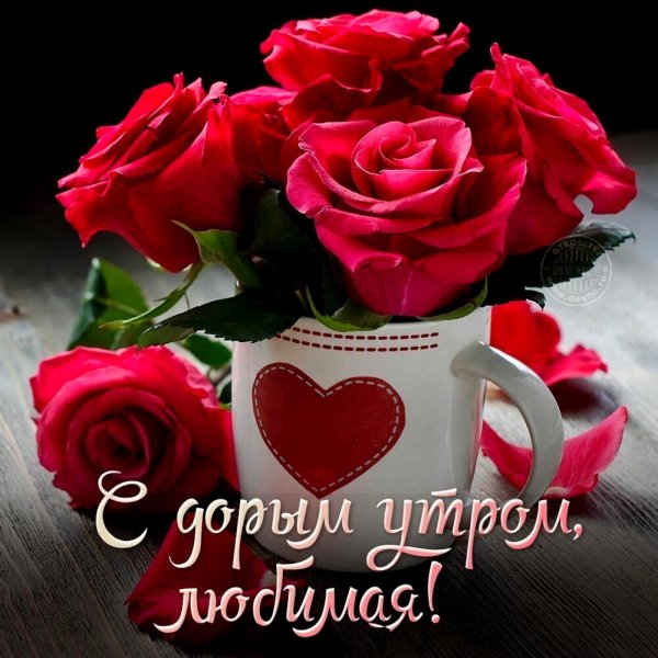 Доброе утро любимая